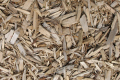 biomass boilers Llanteg